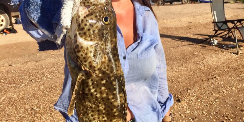 Photo by Kim & Shane