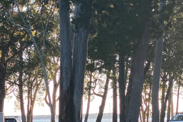 Photo by Kath & Dale