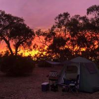 Photo by Kristine B.