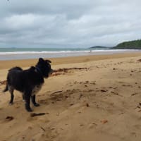 Photo by Karen L Higgs