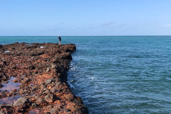 Photo by WANDERINGAUST