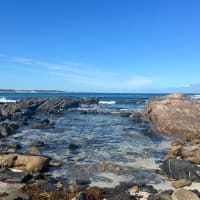 Photo by Catherine E.