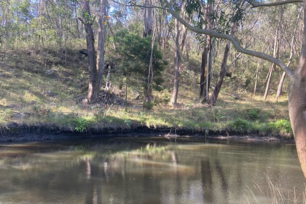 Photo by Cassandra A.