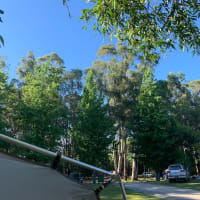 Photo by Deon Rizwan De Silva