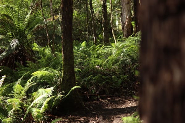 Photo by Isabella H.