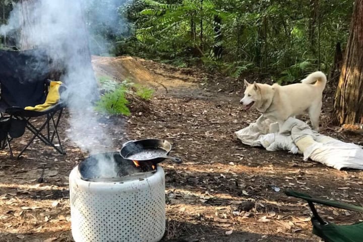 Photo by Jodie Roadster Campny