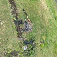 Photo by Louise Le Roux