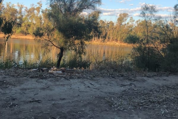 Photo by Allyjane M.