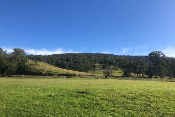 Photo by James Douglas Mitchell