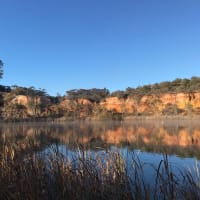 Photo by Anna De Guia