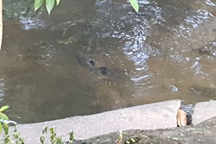 Photo by nq adventure junkie