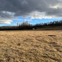 Photo by Courtney w.