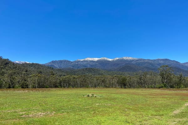 Photo by Courtney  Krause