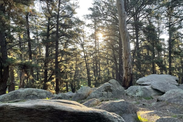 Photo by The Midweek Escape Artist