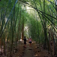 Photo by My Rig Adventures