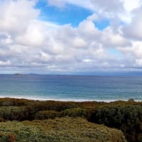 Photo by Olivia Bataligin Averkin