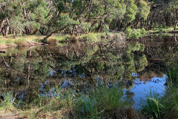 Photo by Gabrielle E.