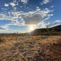 Photo by Brittany E.