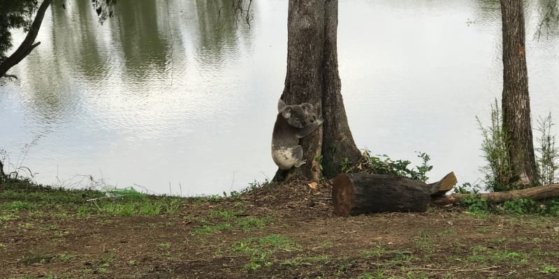 Photo by Michelle G.