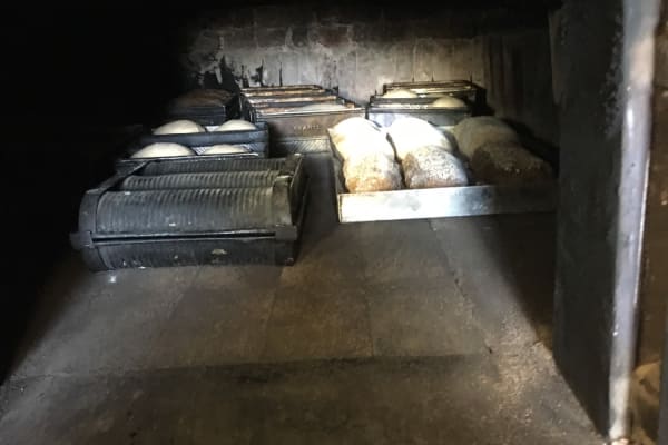 Photo by Christina T.