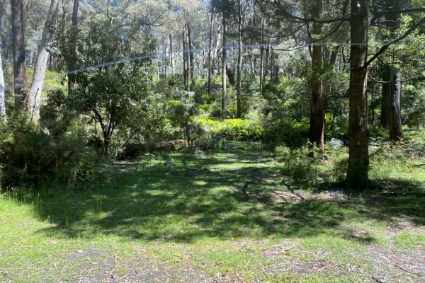 Photo by Ania Daria Sekula