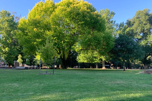 Photo by Deon Rizwan De Silva