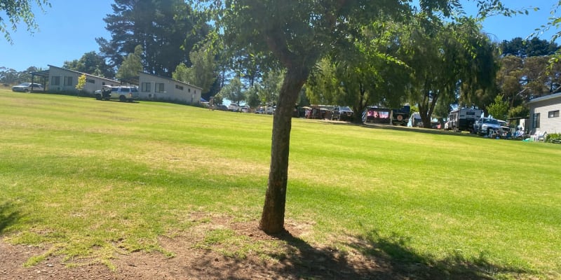 Photo by Ranjeet Singh Gill