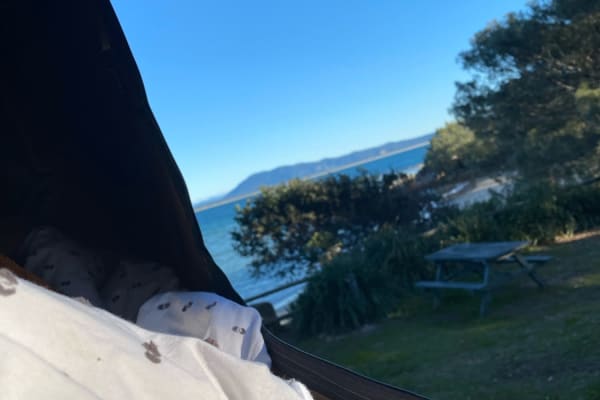 Photo by Celeste and Dan