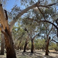 Photo by Happy Hour Hunters