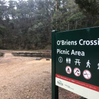 Photo by Peter pumpkin eater