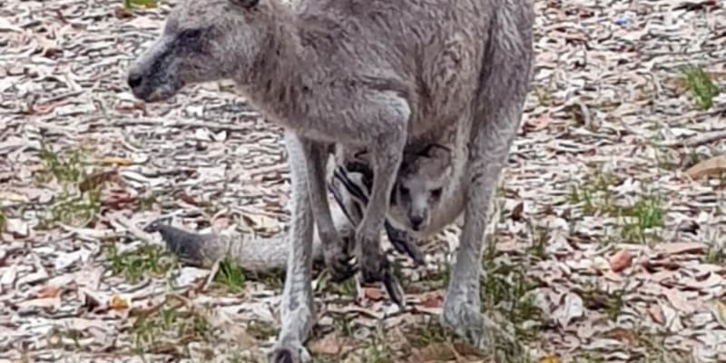 Photo by Christie M.