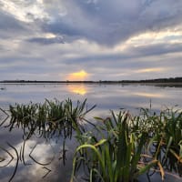 Photo by Charlotte B.