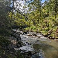 Photo by Clarissa R.