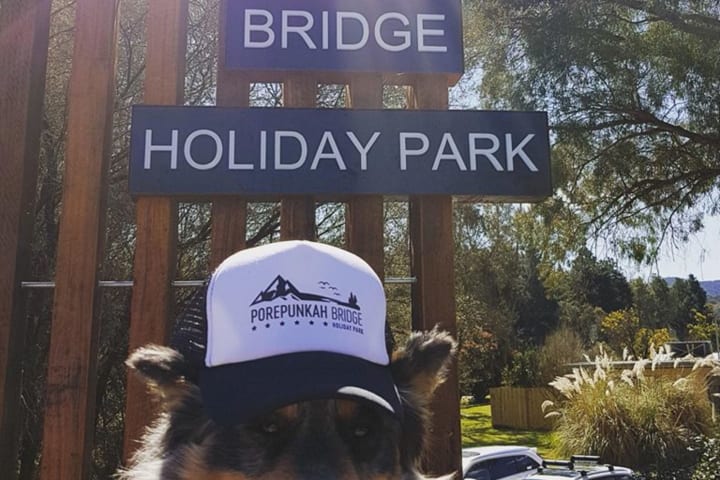 Photo by Porepunkah Bridge Holiday Park