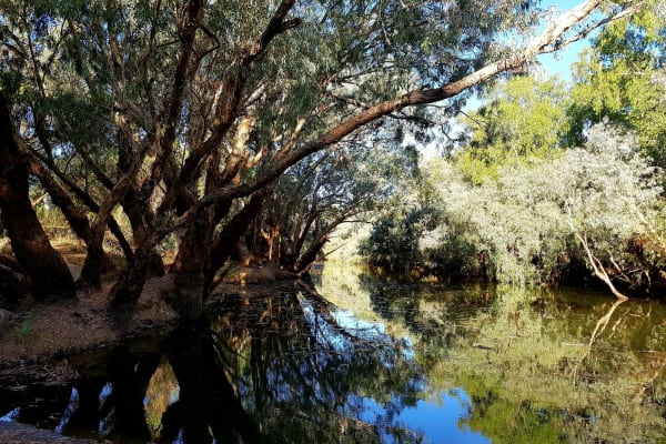 Photo by My Rig Adventures