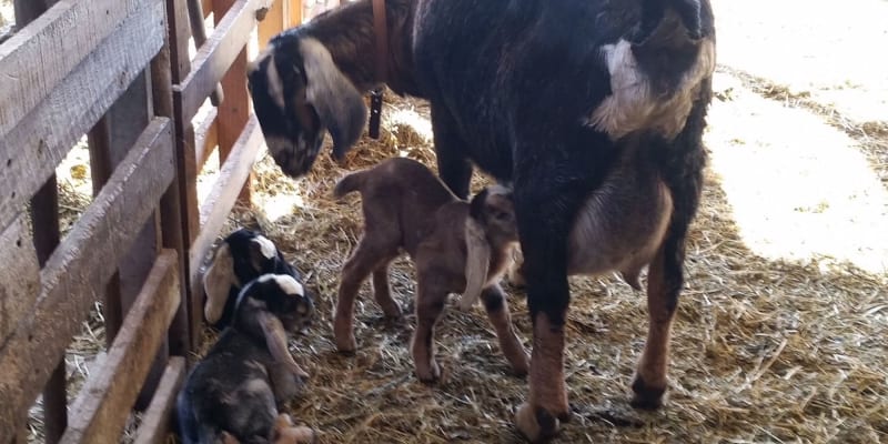 Photo by Jenni-Dawn B.