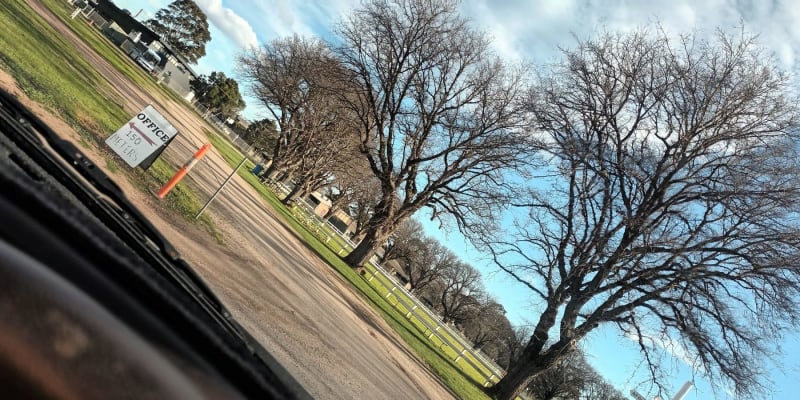 Photo by Elizabeth W.