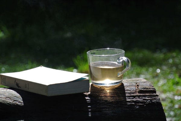 Photo by Brucethegoose