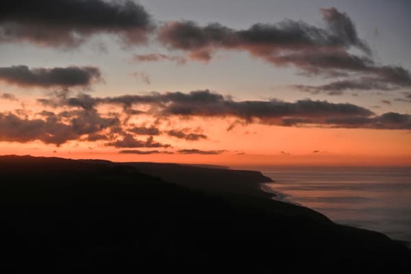 Photo by Brucethegoose