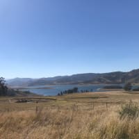 Photo by Katherine F.