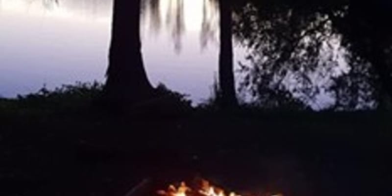 Photo by Michelle G.