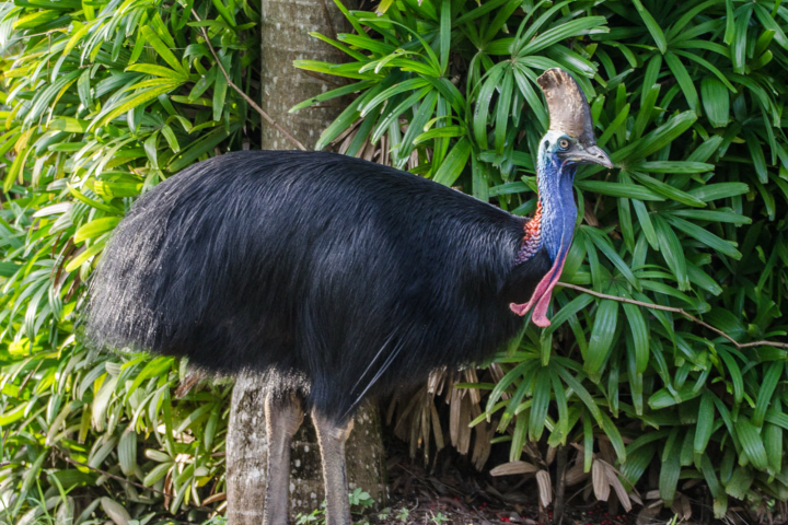 Photo by Guest.Relations