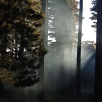 Photo by Brucethegoose