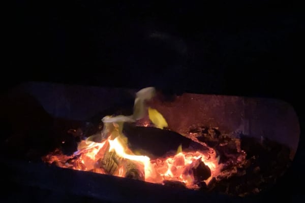 Photo by Cristina B.