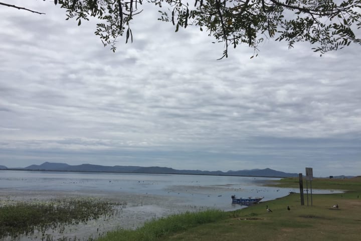 Photo by Theresa N Jason Brown