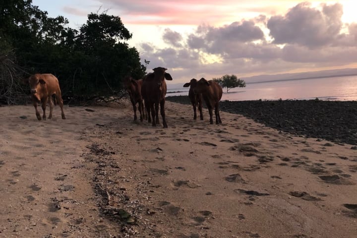 Photo by Samantha M.