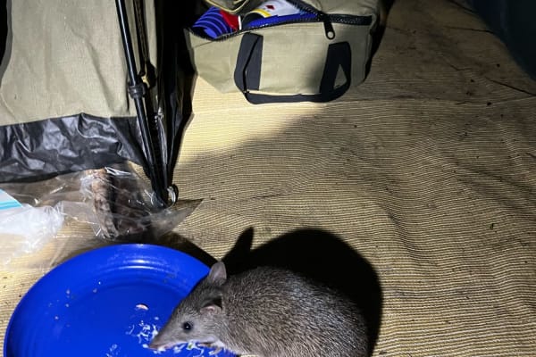 Photo by Ben + Elana