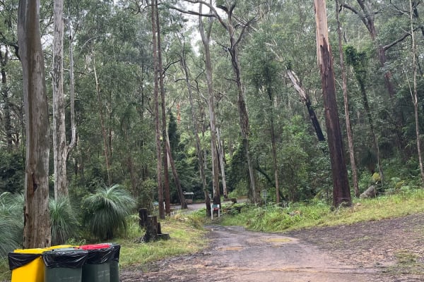 Photo by Eivi from Estonia