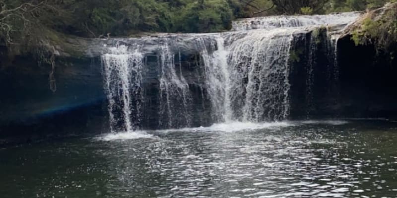 Photo by Briana Louise Ashton