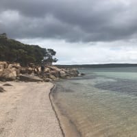 Photo by Michelle C.